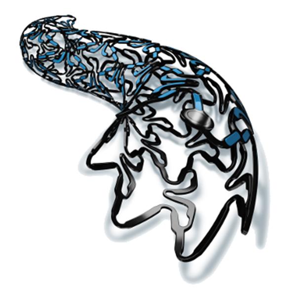 CRE8 стент кардіоваскулярний з системою доставки, елютуючий